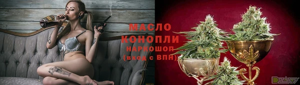 Альфа ПВП Пересвет