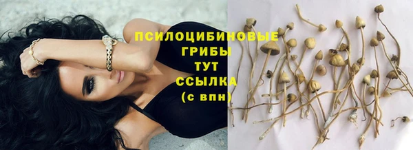 марки lsd Алексеевка