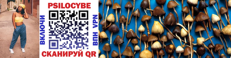 даркнет телеграм hydra онион Псилоцибиновые грибы Magic Shrooms Котовск купить наркоту